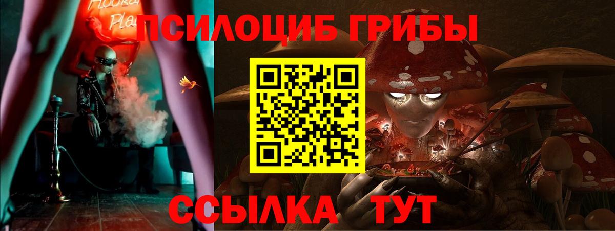 Галлюциногенные грибы Magic Shrooms  Вход с VPN  Алексеевка  Псилоцибиновые грибы Psilocybe 