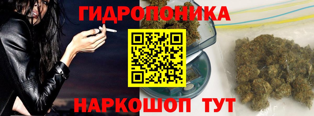 Бошки марихуана OG Kush  Канабис SATIVA & INDICA  Вход с VPN  Алексеевка 